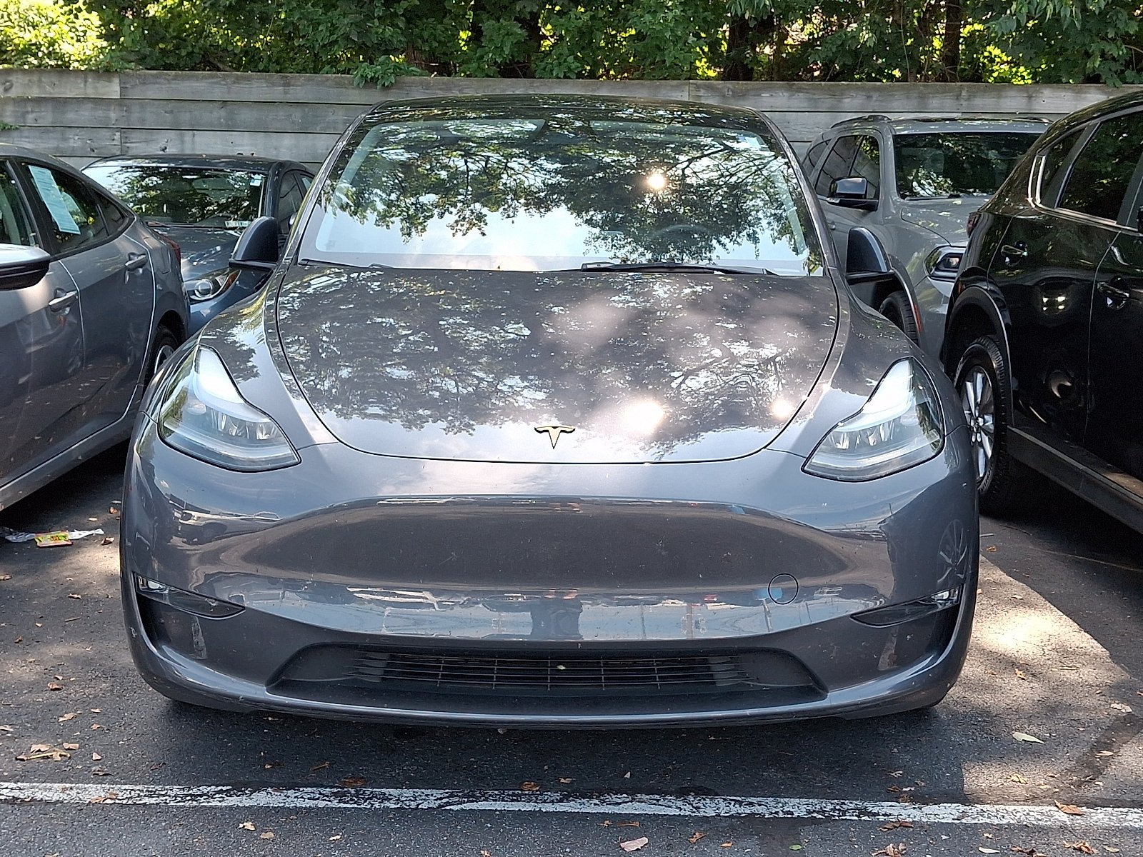 tesla model y 2023 7SAYGDEF8PF966470 image tesla model y 2023 7SAYGDEF8PF966470 image